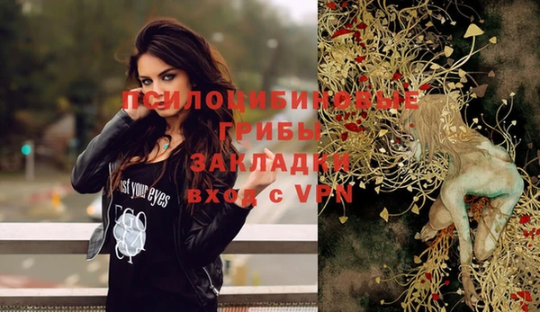бошки Алзамай